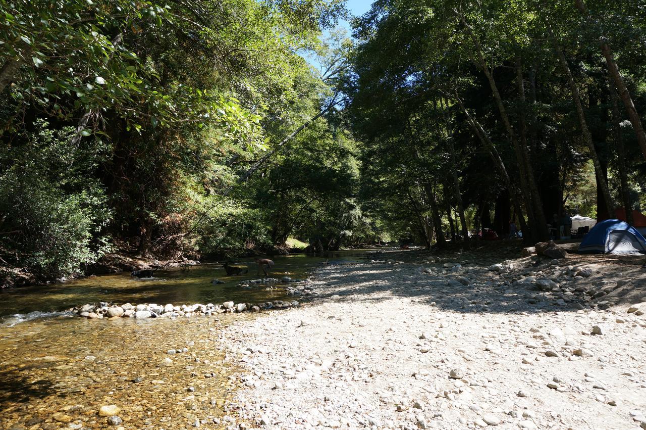 Riverside Campground & Cabins Big Sur Dış mekan fotoğraf
